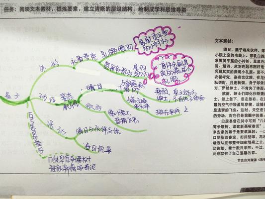 学生自己绘制的学科思维导图_副本